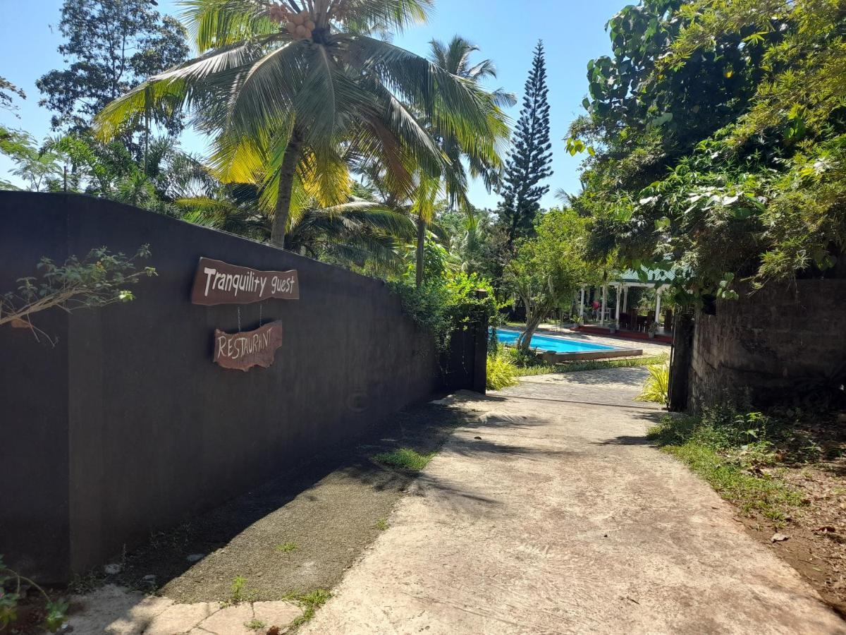 Tranquility Guest House Хиккадува Экстерьер фото