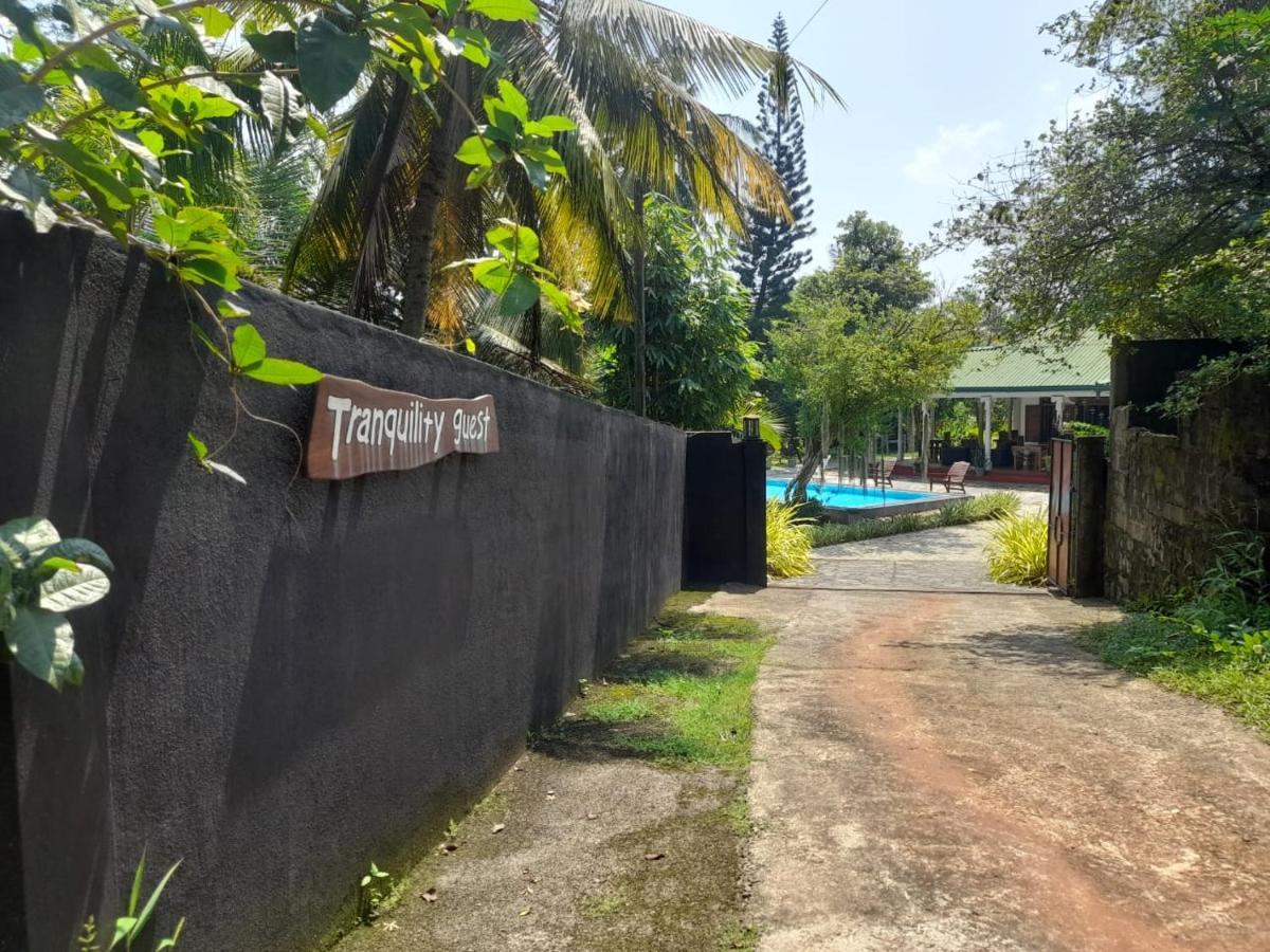 Tranquility Guest House Хиккадува Экстерьер фото