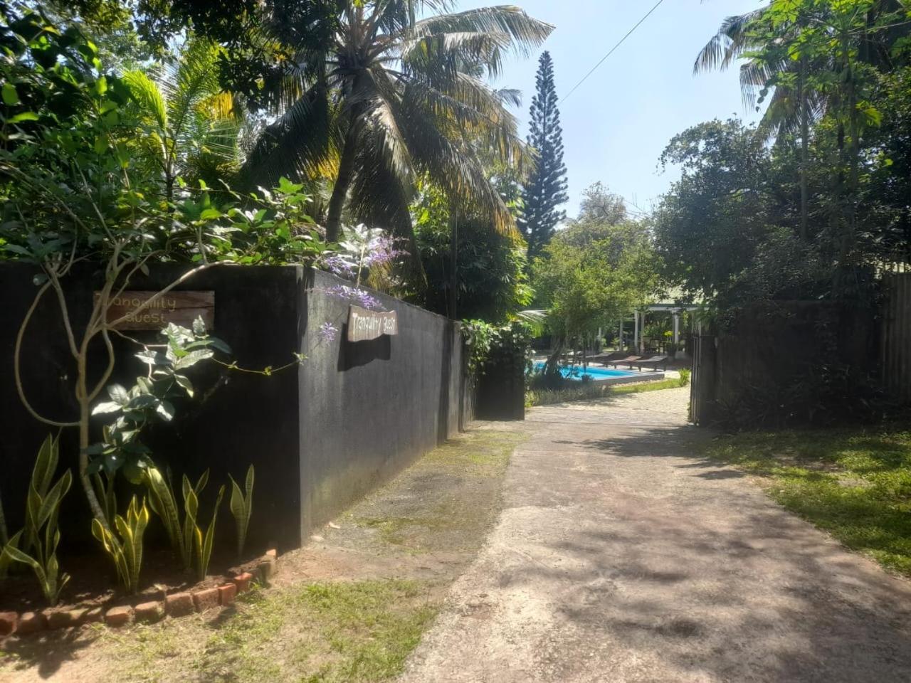 Tranquility Guest House Хиккадува Экстерьер фото
