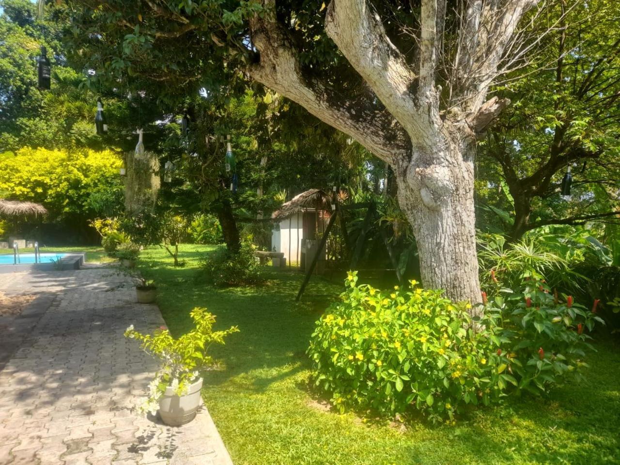 Tranquility Guest House Хиккадува Экстерьер фото