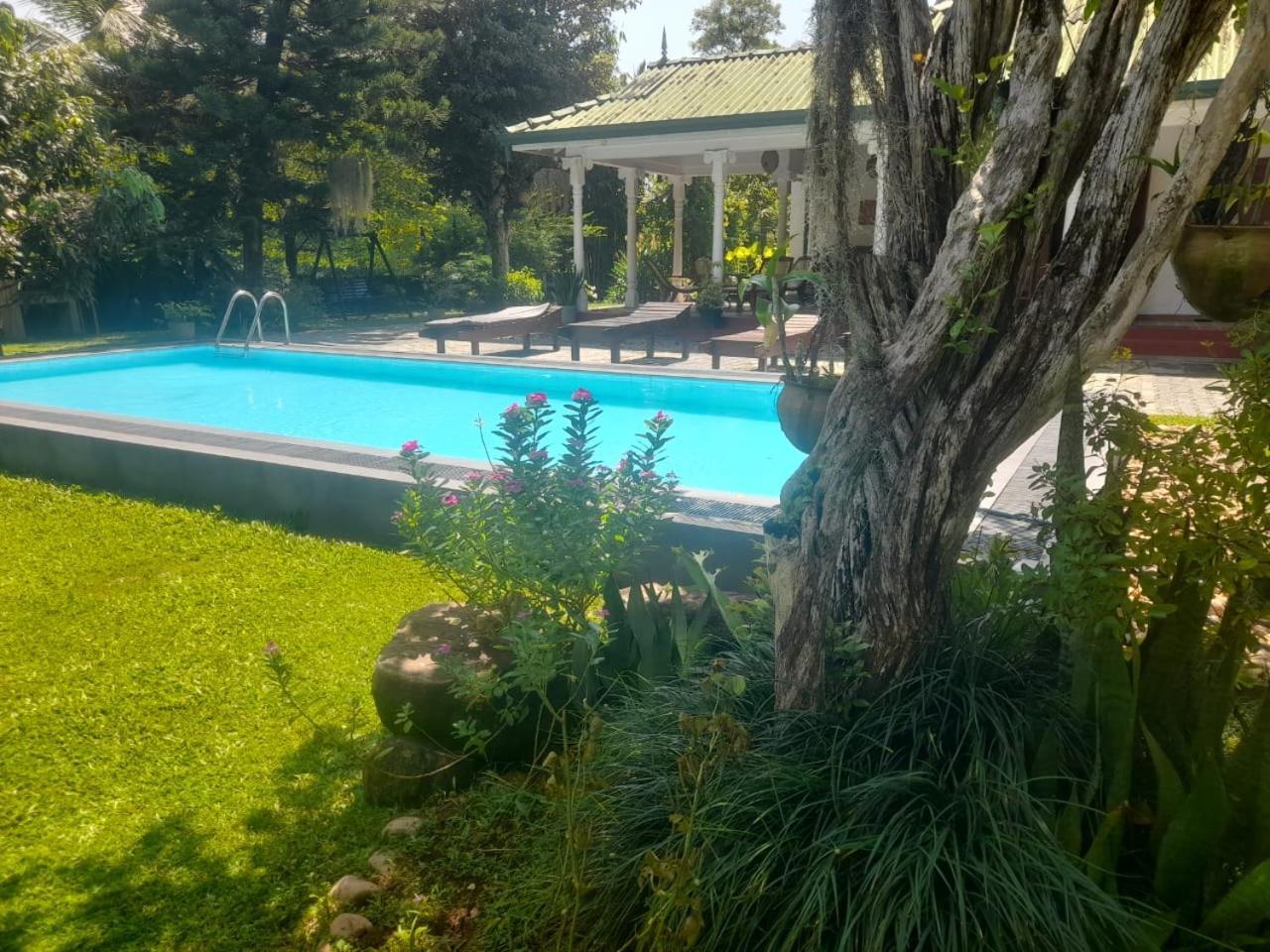 Tranquility Guest House Хиккадува Экстерьер фото